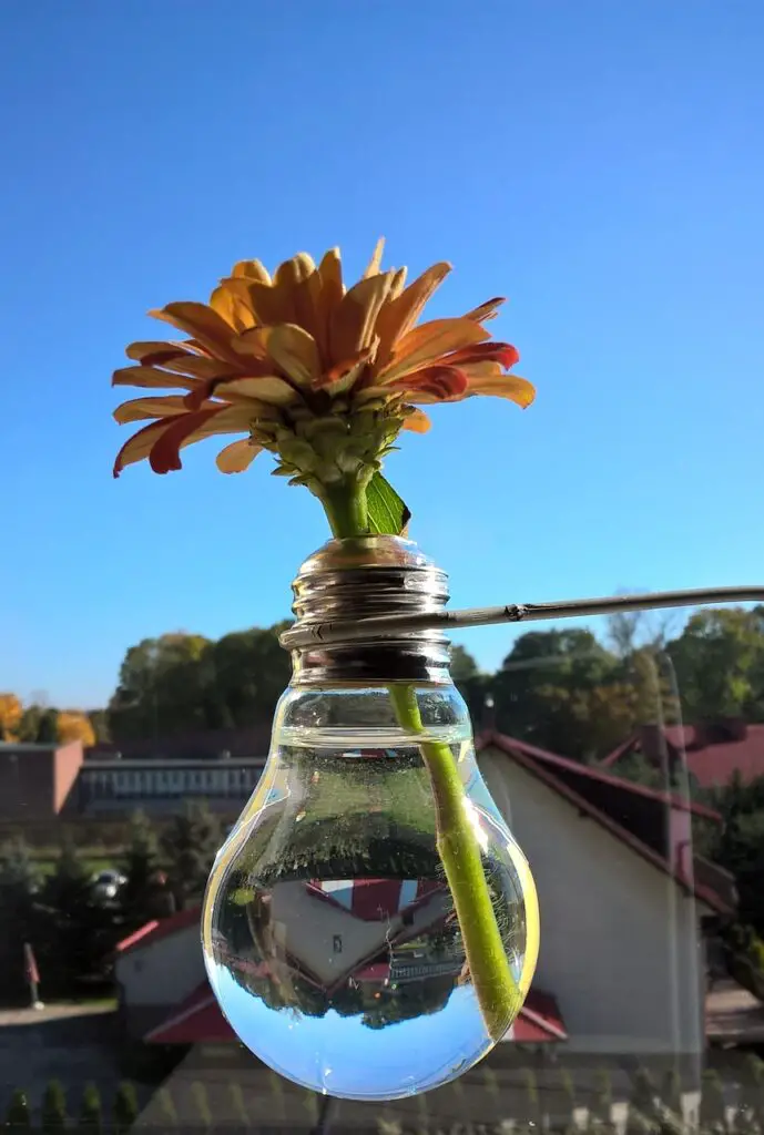 flower in lightbulb vase