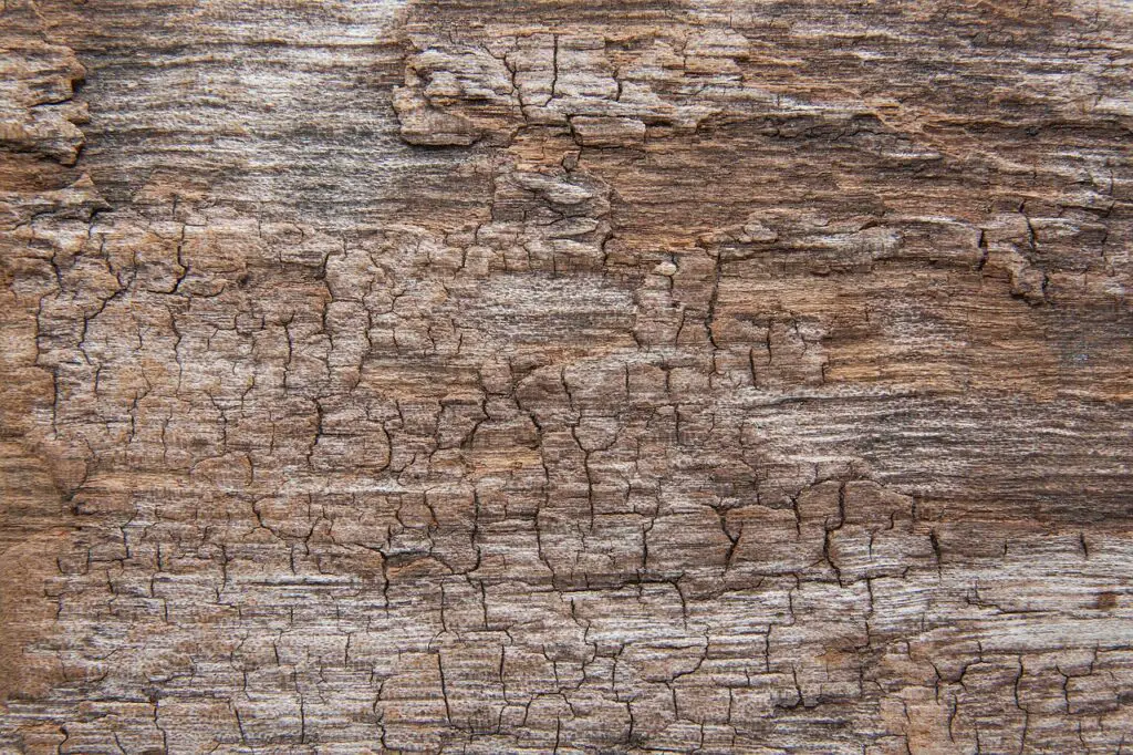 cracked aged wood
