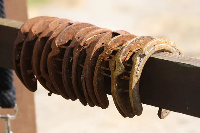 horseshoes handing on wood